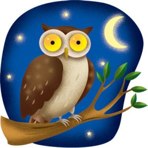 night_owl